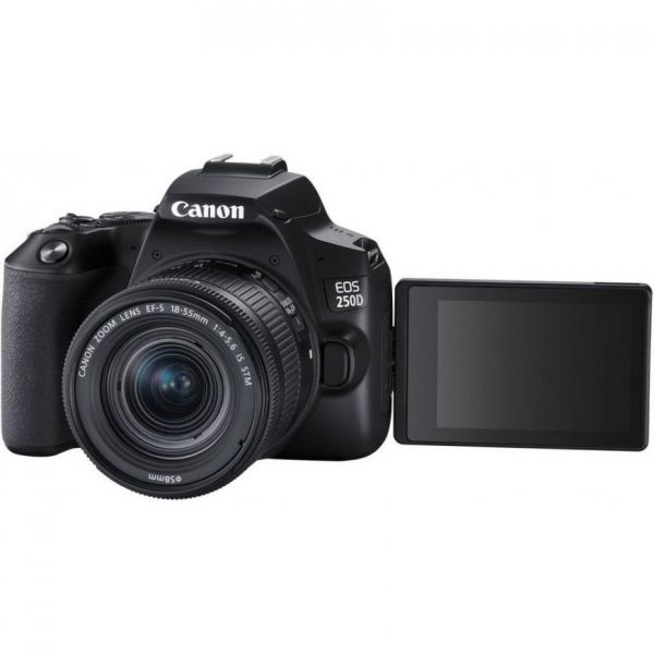Зеркальный фотоаппарат Canon EOS 250D kit (18-55mm) EF-S IS STM