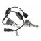 Лампы светодиодные QLine Hight V HB4 9006 6000K (2шт.)