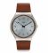 Наручные часы Swatch SKIN SUIT BROWN SS07S108