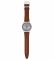 Наручные часы Swatch SKIN SUIT BROWN SS07S108