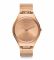 Наручные часы Swatch SKINELEGANCE SYXG101GG