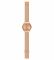 Наручные часы Swatch SKINELEGANCE SYXG101GG