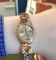 Наручные часы Swatch GOLDY HUG YSG164G